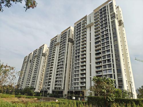 PALAVA SERENITY D