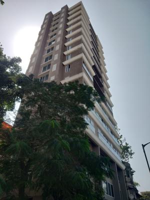 71 RAINTREE