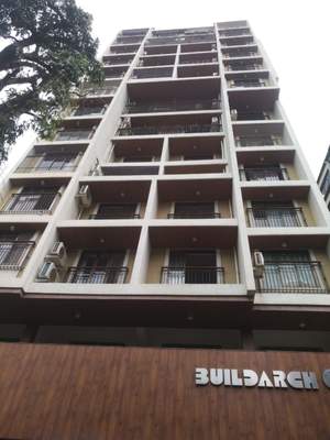 BUILDARCH OLIVE
