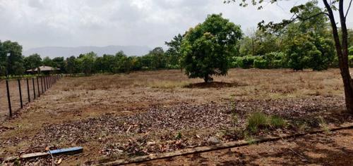 RIVERGATE ARANYA