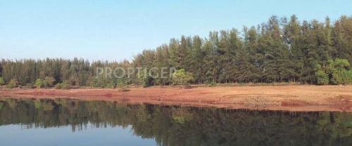 CASUARINA - CLUSTER C AND D