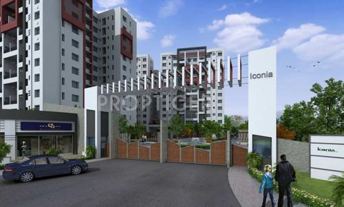 ICONIA PHASE IV
