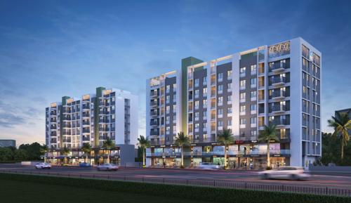 OLIVE HOMES -1