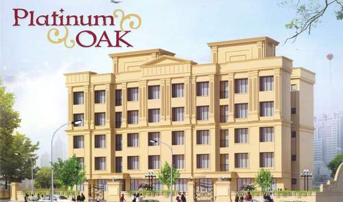 PLATINUM OAK