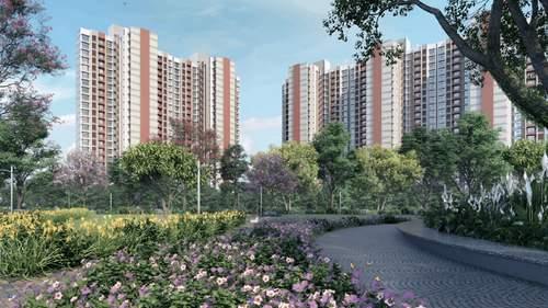 Foresta F