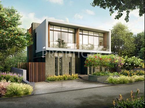 Amoda Reserve - South Park