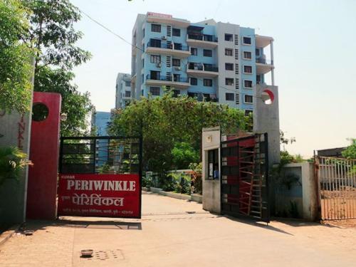 KUMAR PERIWINKLE-WING B3